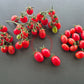 Rosalita DER TOMATENFLÜSTERER