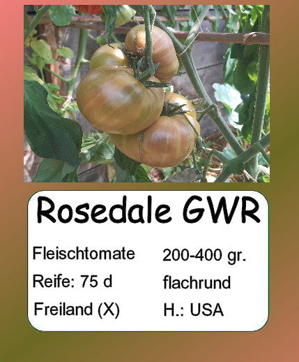 Rosedale GWR DER TOMATENFLÜSTERER