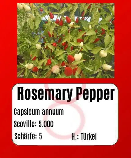 Rosemary Pepper DER TOMATENFLÜSTERER