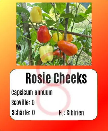 Rosie Cheeks DER TOMATENFLÜSTERER
