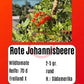 Rote Johannisbeere DER TOMATENFLÜSTERER