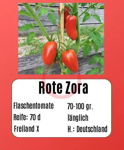Rote Zora DER TOMATENFLÜSTERER