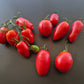 Rote Zora DER TOMATENFLÜSTERER