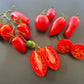 Rote Zora DER TOMATENFLÜSTERER