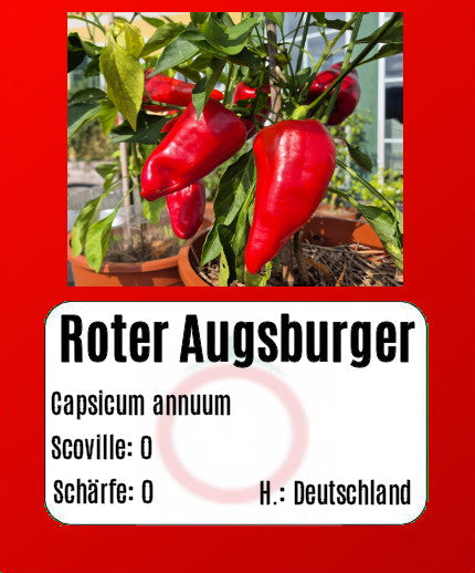Roter Augsburger DER TOMATENFLÜSTERER