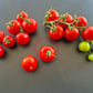 Roter Heinz DER TOMATENFLÜSTERER