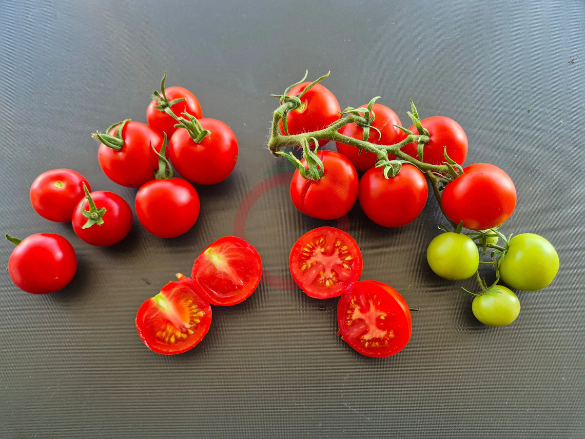 Roter Heinz DER TOMATENFLÜSTERER