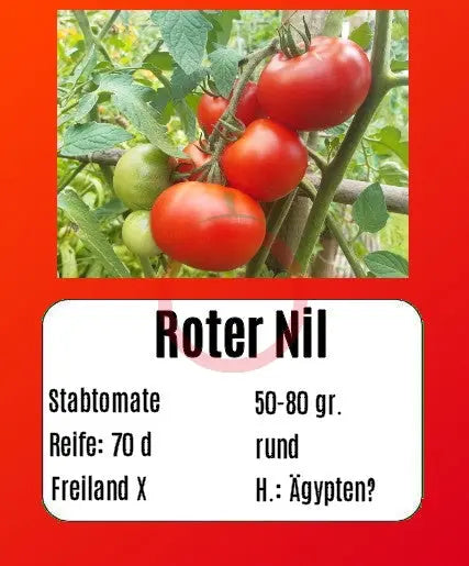 Roter Nil DER TOMATENFLÜSTERER