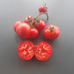 Roter Nil DER TOMATENFLÜSTERER
