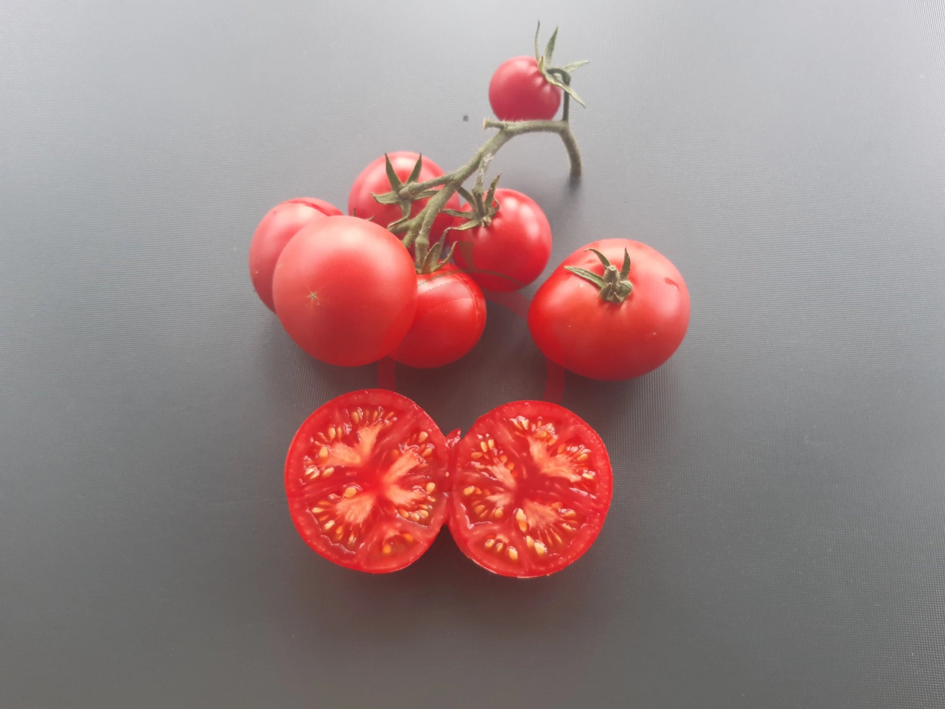Roter Nil DER TOMATENFLÜSTERER