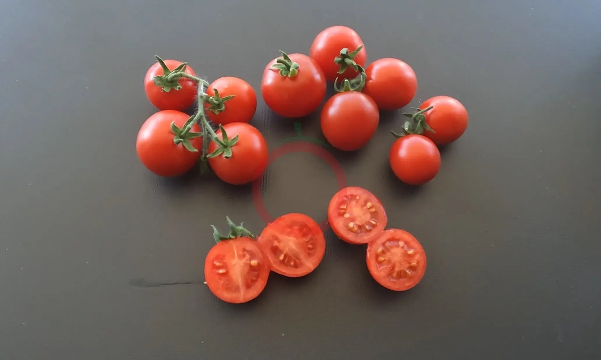Rotkäppchen DER TOMATENFLÜSTERER