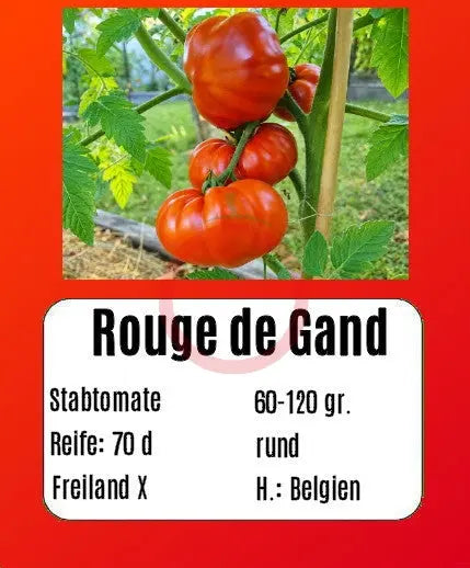 Rouge de Gand DER TOMATENFLÜSTERER