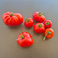 Rouge de Gand DER TOMATENFLÜSTERER