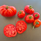 Rouge de Gand DER TOMATENFLÜSTERER