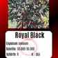 Royal Black DER TOMATENFLÜSTERER