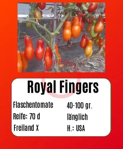 Royal Fingers DER TOMATENFLÜSTERER