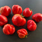 Rozalie de Budila DER TOMATENFLÜSTERER
