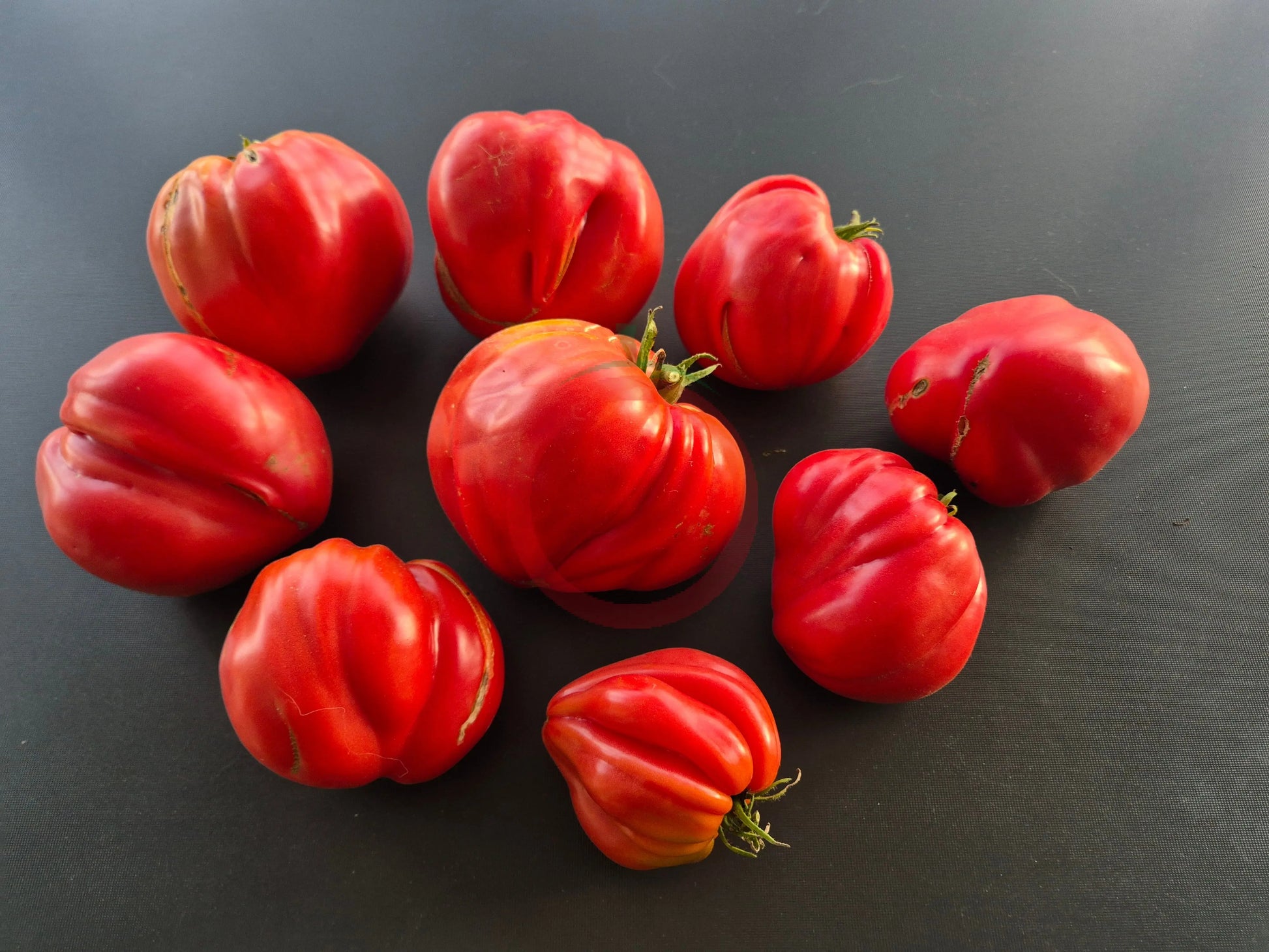 Rozalie de Budila DER TOMATENFLÜSTERER