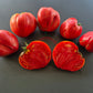 Rozalie de Budila DER TOMATENFLÜSTERER