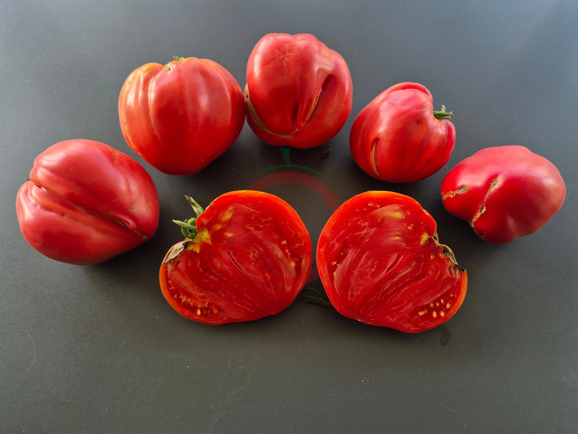 Rozalie de Budila DER TOMATENFLÜSTERER
