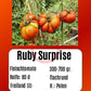 Ruby Surprise DER TOMATENFLÜSTERER
