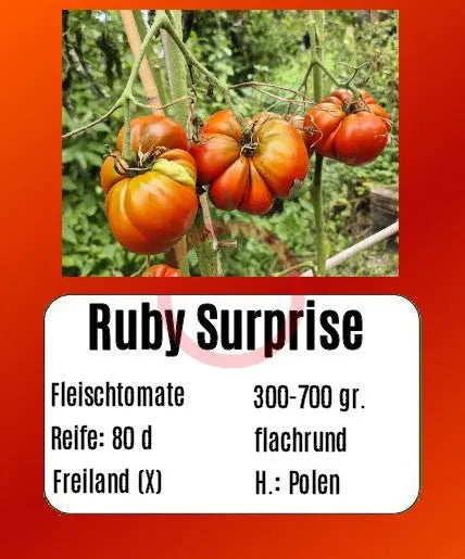 Ruby Surprise DER TOMATENFLÜSTERER