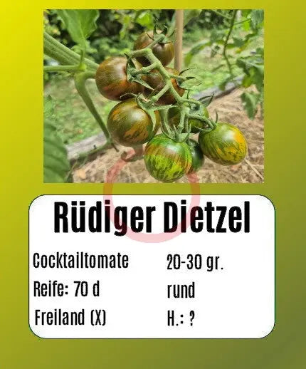 Rüdiger Dietzel DER TOMATENFLÜSTERER