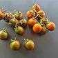 Rüdiger Dietzel DER TOMATENFLÜSTERER