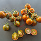 Rüdiger Dietzel DER TOMATENFLÜSTERER