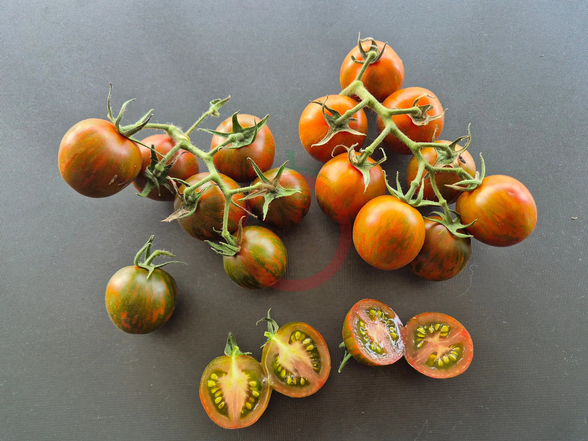 Rüdiger Dietzel DER TOMATENFLÜSTERER
