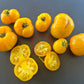 Rumpelstilskin DER TOMATENFLÜSTERER