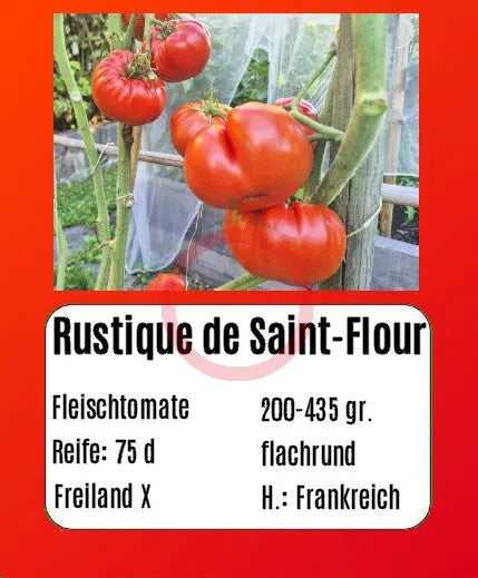 Rustique de Saint-Flour DER TOMATENFLÜSTERER