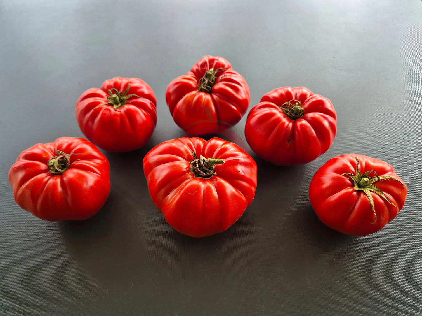 Rustique de Saint-Flour DER TOMATENFLÜSTERER