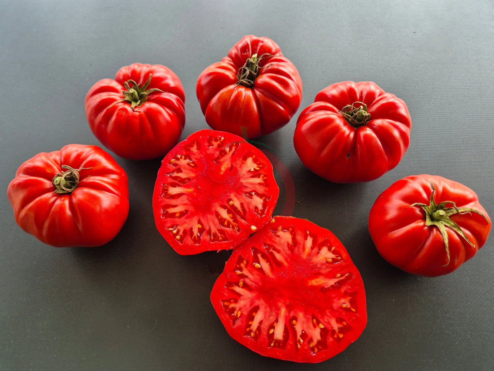 Rustique de Saint-Flour DER TOMATENFLÜSTERER