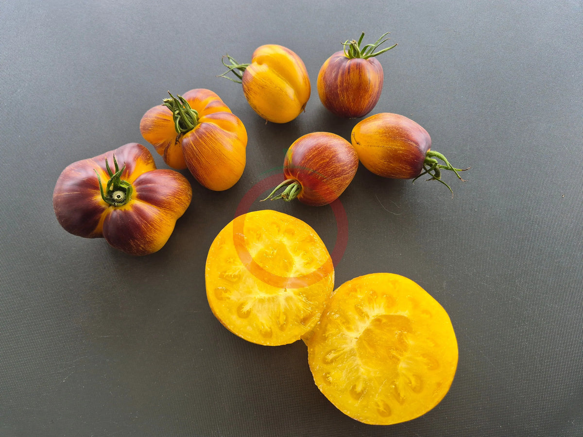 Sabotage DER TOMATENFLÜSTERER