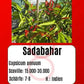 Sadabahar DER TOMATENFLÜSTERER