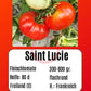 Saint Lucie DER TOMATENFLÜSTERER