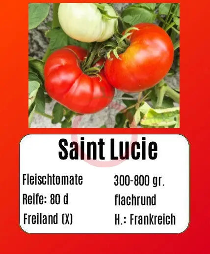 Saint Lucie DER TOMATENFLÜSTERER