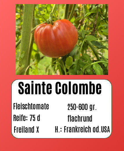 Sainte Colombe DER TOMATENFLÜSTERER
