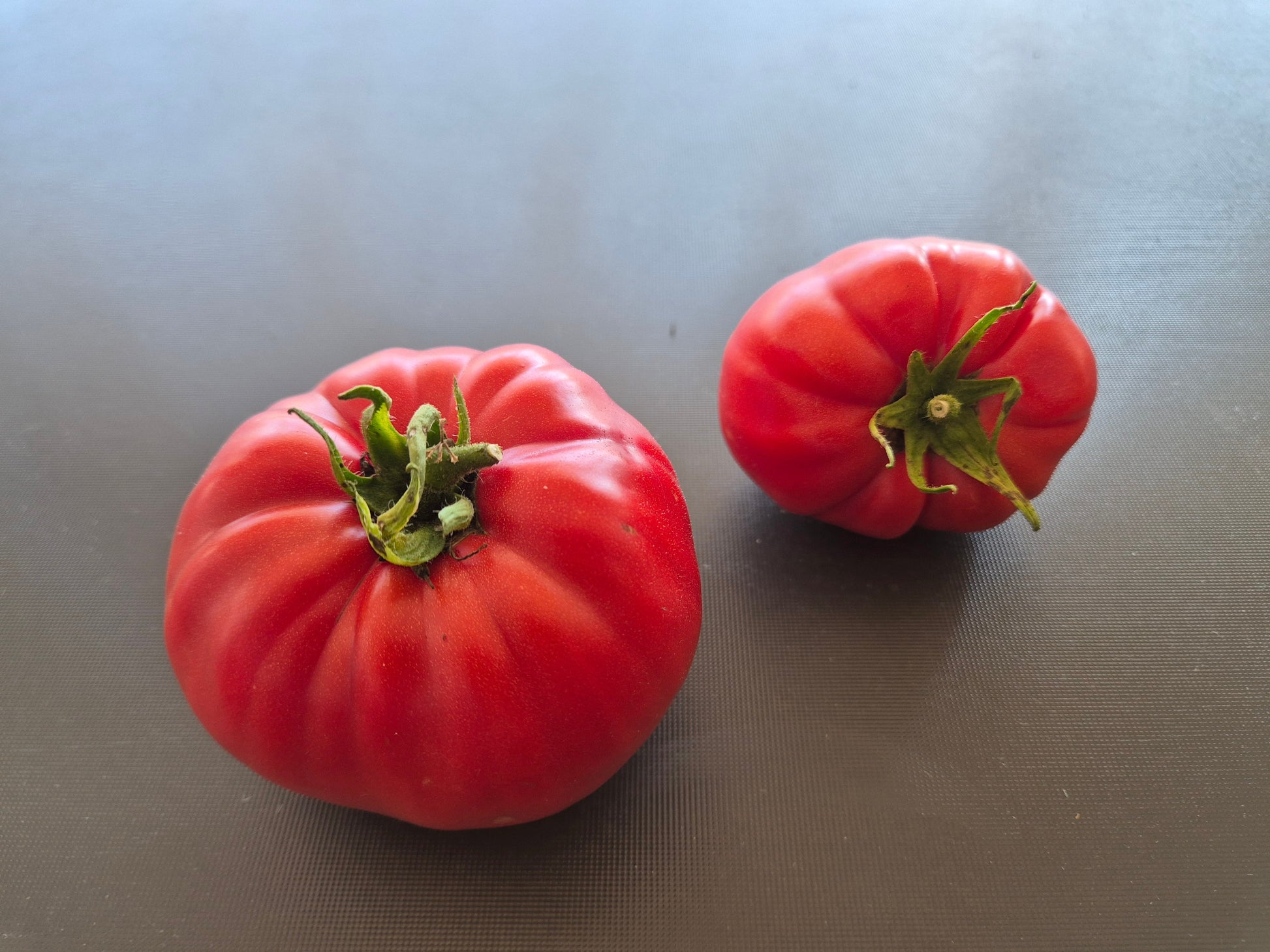 Sainte Colombe DER TOMATENFLÜSTERER