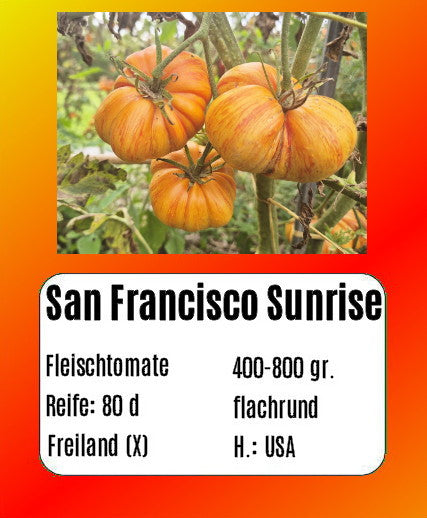 San Francisco Sunrise DER TOMATENFLÜSTERER