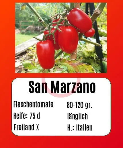 San Marzano DER TOMATENFLÜSTERER