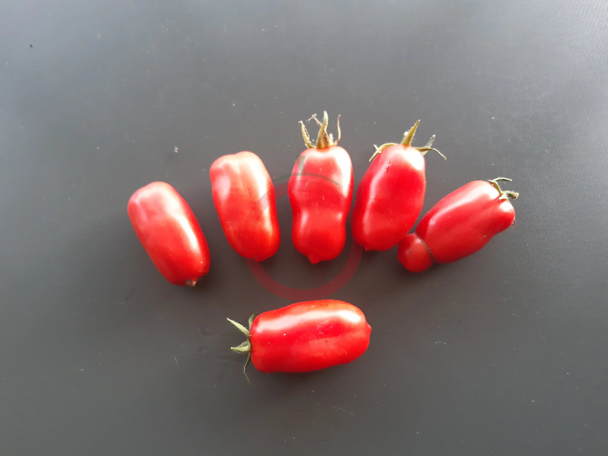 San Marzano DER TOMATENFLÜSTERER