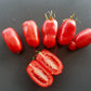 San Marzano DER TOMATENFLÜSTERER