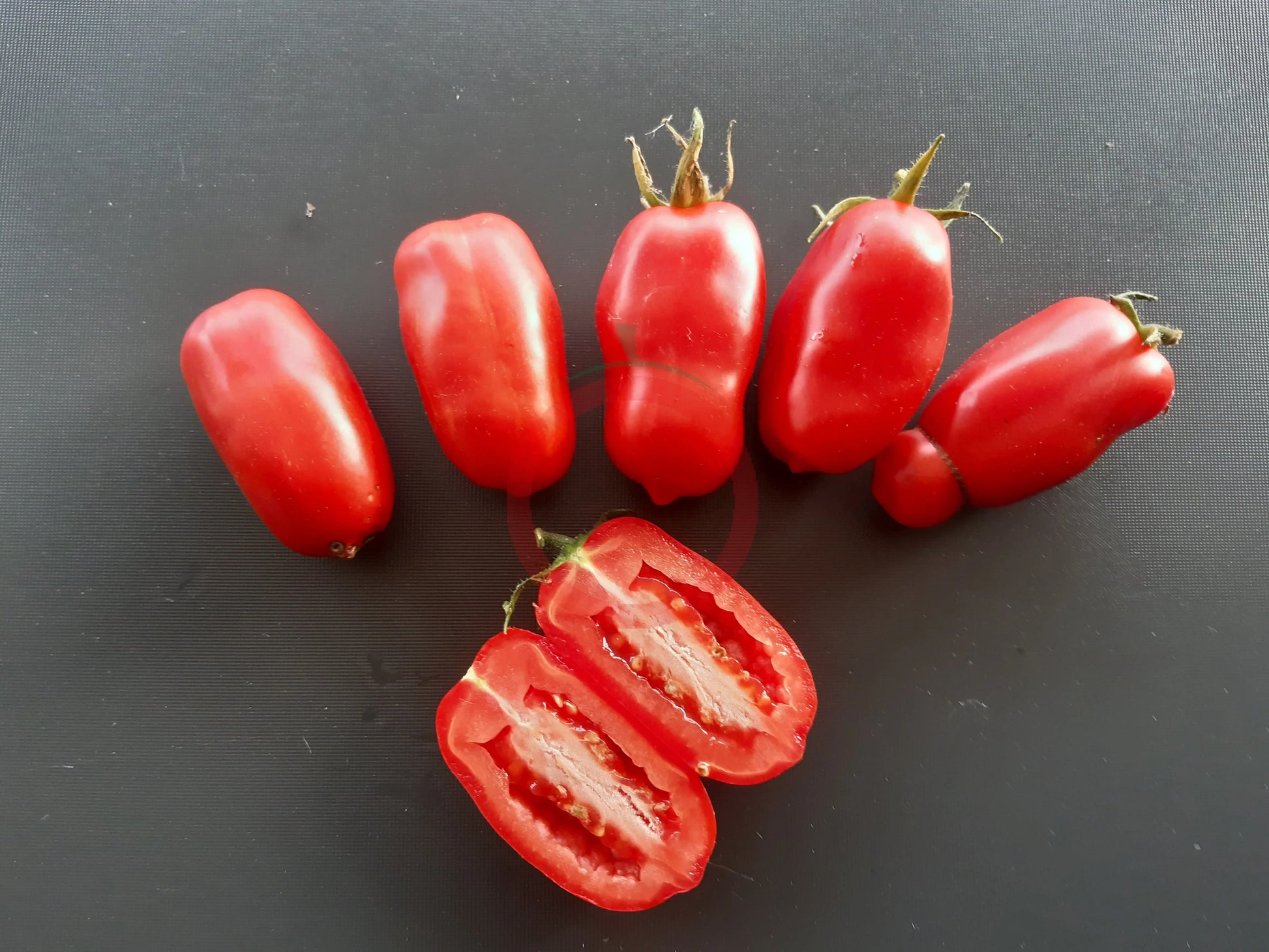 San Marzano DER TOMATENFLÜSTERER