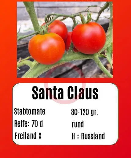Santa Claus DER TOMATENFLÜSTERER