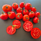 Santa Claus DER TOMATENFLÜSTERER