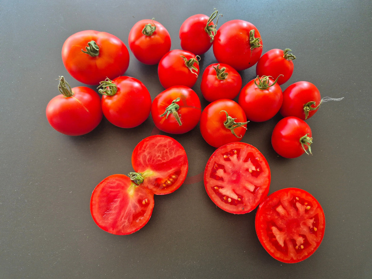 Santa Claus DER TOMATENFLÜSTERER
