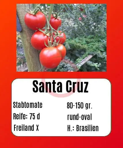 Santa Cruz DER TOMATENFLÜSTERER