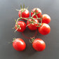 Santa Cruz DER TOMATENFLÜSTERER
